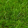 Green artificial grass 1x5 m/40 mm by vidaXL, artificial flora - Ref: Foro24-318329, Price: 90,13 €, Discount: %