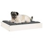 Cama para perros madera maciza de pino blanco 61,5x49x9 cm de vidaXL, Camas para perros - Ref: Foro24-820852, Precio: 30,72 €...