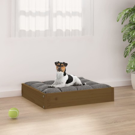 Hundebett aus massivem Kiefernholz, honigbraun, 51,5 x 44 x 9 cm von vidaXL, Betten für Hunde - Ref: Foro24-820849, Preis: 20...