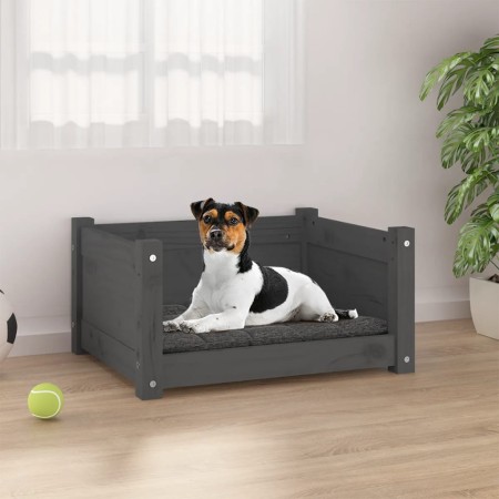 Hundebett aus massivem, grauem Kiefernholz, 55,5 x 45,5 x 28 cm von vidaXL, Betten für Hunde - Ref: Foro24-821444, Preis: 51,...