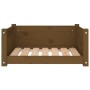 Cama para perros madera maciza pino marrón miel 65,5x50,5x28 cm de vidaXL, Camas para perros - Ref: Foro24-821450, Precio: 58...