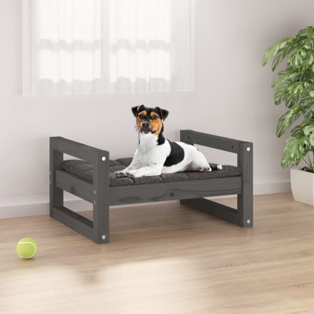 Hundebett aus massivem, grauem Kiefernholz, 55,5 x 45,5 x 28 cm von vidaXL, Betten für Hunde - Ref: Foro24-821469, Preis: 36,...