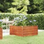 Arriate oxidado de acero corten 100x100x45 cm de vidaXL, Maceteros y jardineras - Ref: Foro24-151949, Precio: 55,99 €, Descue...