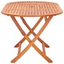 Mesa de jardín plegable madera maciza de eucalipto 160x85x74 cm de vidaXL, Mesas de jardín - Ref: Foro24-48703, Precio: 140,5...