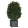 Solid gray pine wood planter 40x40x40 cm by vidaXL, Pots and planters - Ref: Foro24-810538, Price: 45,38 €, Discount: %