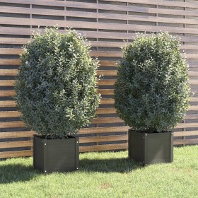 Planters 2 pcs solid gray pine wood 40x40x40 cm by vidaXL, Pots and planters - Ref: Foro24-810539, Price: 67,06 €, Discount: %