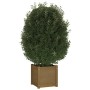 Solid brown pine wood planter 40x40x40 cm by vidaXL, Pots and planters - Ref: Foro24-810540, Price: 40,99 €, Discount: %