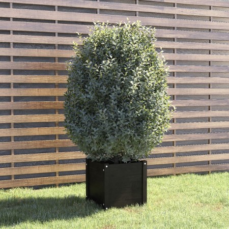 Solid black pine wood planter 40x40x40 cm by vidaXL, Pots and planters - Ref: Foro24-810542, Price: 39,54 €, Discount: %