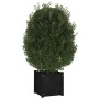 Solid black pine wood planter 40x40x40 cm by vidaXL, Pots and planters - Ref: Foro24-810542, Price: 39,54 €, Discount: %