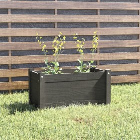 Jardinera de madera maciza de pino gris 60x31x31 cm de vidaXL, Maceteros y jardineras - Ref: Foro24-810708, Precio: 42,99 €, ...