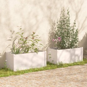 Solid white pine wood planters 2 pcs 100x50x50 cm by vidaXL, Pots and planters - Ref: Foro24-810727, Price: 197,08 €, Discoun...