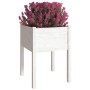 Planters 2 pcs solid pine wood 50x50x70 cm by vidaXL, Pots and planters - Ref: Foro24-810802, Price: 54,69 €, Discount: %