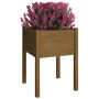 Honey brown solid pine wood planter 50x50x70 cm by vidaXL, Pots and planters - Ref: Foro24-810805, Price: 31,45 €, Discount: %