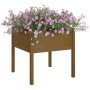 Solid pine wood planter in honey brown color, 70x70x70 cm by vidaXL, Pots and planters - Ref: Foro24-810815, Price: 45,40 €, ...