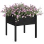 Planters 2 pcs solid black pine wood 70x70x70 cm by vidaXL, Pots and planters - Ref: Foro24-810818, Price: 72,47 €, Discount: %