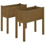 Planters 2 pcs solid honey brown pine wood 70x31x70 cm by vidaXL, Pots and planters - Ref: Foro24-810826, Price: 58,60 €, Dis...