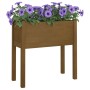 Planters 2 pcs solid honey brown pine wood 70x31x70 cm by vidaXL, Pots and planters - Ref: Foro24-810826, Price: 58,60 €, Dis...