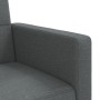 Schlafsofa mit dunkelgrauen Stoffkissen von vidaXL, Sofas - Ref: Foro24-351876, Preis: 254,73 €, Rabatt: %