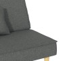 Dunkelgraues Schlafsofa aus Stoff von vidaXL, Sofas - Ref: Foro24-351901, Preis: 224,15 €, Rabatt: %