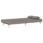 Sofá cama de tela gris taupe de vidaXL, Sofás - Ref: Foro24-351905, Precio: 226,73 €, Descuento: %