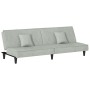 Schlafsofa aus hellgrauem Samt von vidaXL, Sofas - Ref: Foro24-351907, Preis: 220,41 €, Rabatt: %