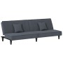 Sofá cama de terciopelo gris oscuro de vidaXL, Sofás - Ref: Foro24-351908, Precio: 239,99 €, Descuento: %