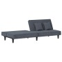 Sofá cama de terciopelo gris oscuro de vidaXL, Sofás - Ref: Foro24-351908, Precio: 239,99 €, Descuento: %