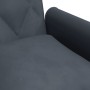 Sofá cama con reposabrazos terciopelo gris oscuro de vidaXL, Sofás - Ref: Foro24-351945, Precio: 283,13 €, Descuento: %