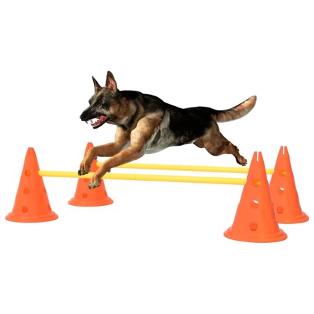 Orange and Yellow Dog Obstacle Course Set by vidaXL, Pet Exercise Equipment - Ref: Foro24-150951, Price: 35,77 €, Discount: %