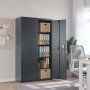 Anthracite gray steel filing cabinet 105x40x180 cm by vidaXL, Filing cabinets - Ref: Foro24-339771, Price: 302,99 €, Discount: %