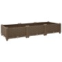 Arriate 120x40x23 cm polipropileno de vidaXL, Maceteros y jardineras - Ref: Foro24-316513, Precio: 46,99 €, Descuento: %