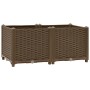 Flower bed 80x40x38 cm polypropylene by vidaXL, Pots and planters - Ref: Foro24-316516, Price: 50,41 €, Discount: %