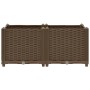 Flower bed 80x40x38 cm polypropylene by vidaXL, Pots and planters - Ref: Foro24-316516, Price: 50,41 €, Discount: %