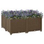 Arriate de polipropileno 80x80x38 cm de vidaXL, Maceteros y jardineras - Ref: Foro24-316525, Precio: 71,44 €, Descuento: %