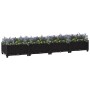 Arriate 160x40x23 cm polipropileno de vidaXL, Maceteros y jardineras - Ref: Foro24-316529, Precio: 59,04 €, Descuento: %