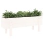 Elevated garden bed made of solid white pine wood 101x30x38cm by vidaXL, Pots and planters - Ref: Foro24-825185, Price: 60,99...