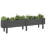 Elevated garden bed made of solid gray pine wood 160x30x38 cm by vidaXL, Pots and planters - Ref: Foro24-825193, Price: 119,4...