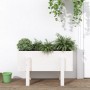 Solid white pine wood planter 62x30x38 cm by vidaXL, Pots and planters - Ref: Foro24-825178, Price: 42,27 €, Discount: %