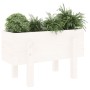 Solid white pine wood planter 62x30x38 cm by vidaXL, Pots and planters - Ref: Foro24-825178, Price: 42,27 €, Discount: %