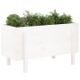 Raised garden bed solid white pine wood 101x50x57cm by vidaXL, Pots and planters - Ref: Foro24-825213, Price: 69,70 €, Discou...