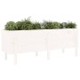 Elevated garden bed made of solid white pine wood 160x50x57cm by vidaXL, Pots and planters - Ref: Foro24-825220, Price: 139,6...