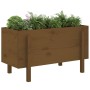 Arriate elevado de jardín madera pino marrón miel 101x50x57 cm de vidaXL, Maceteros y jardineras - Ref: Foro24-825215, Precio...