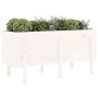 Raised garden bed solid white pine wood 121x50x57cm by vidaXL, Pots and planters - Ref: Foro24-825227, Price: 107,06 €, Disco...