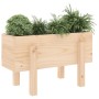 Jardinera madera maciza de pino 62x30x38 cm de vidaXL, Maceteros y jardineras - Ref: Foro24-825177, Precio: 40,87 €, Descuent...