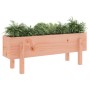 Raised garden bed solid wood Douglas fir 101x30x38 cm by vidaXL, Pots and planters - Ref: Foro24-825189, Price: 48,34 €, Disc...