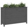 Raised garden bed solid gray pine wood 119.5x40x78cm by vidaXL, Pots and planters - Ref: Foro24-825291, Price: 153,55 €, Disc...