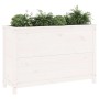 Raised garden bed in white pine wood 119.5x40x78 cm by vidaXL, Pots and planters - Ref: Foro24-825290, Price: 144,87 €, Disco...