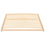 Somier de láminas con 13 listones 100x200 cm de vidaXL, Camas y somieres - Ref: Foro24-327258, Precio: 66,36 €, Descuento: %