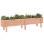 Raised garden bed solid wood Douglas fir 160x30x38 cm by vidaXL, Pots and planters - Ref: Foro24-825196, Price: 78,19 €, Disc...