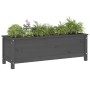 Raised garden bed solid gray pine wood 119.5x40x39cm by vidaXL, Pots and planters - Ref: Foro24-825263, Price: 98,05 €, Disco...